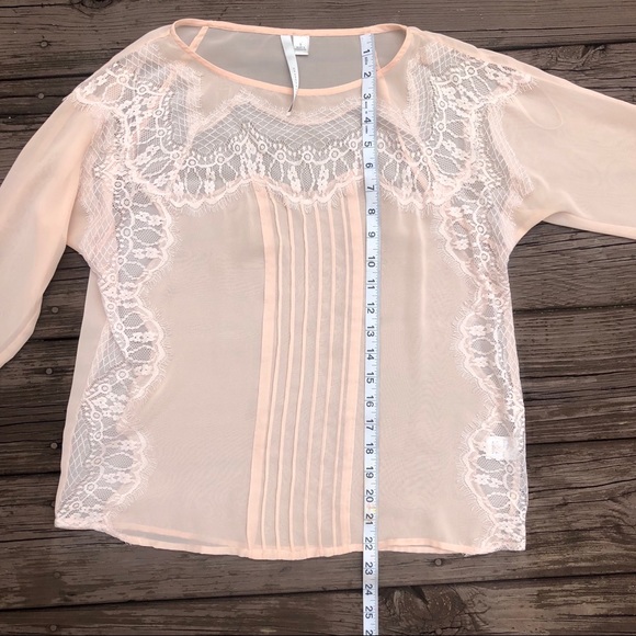 blush sheer blouse with lace - Picture 4 of 4